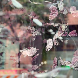 Meet your Posher, Jary